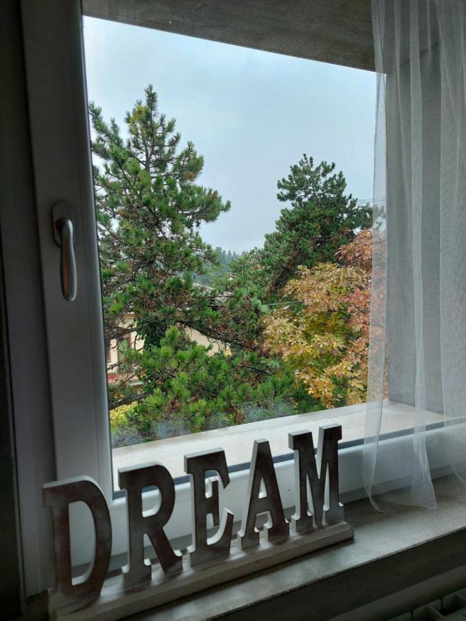La Pineta - Delightful Small Apartment Near The City Center ラクイラ エクステリア 写真